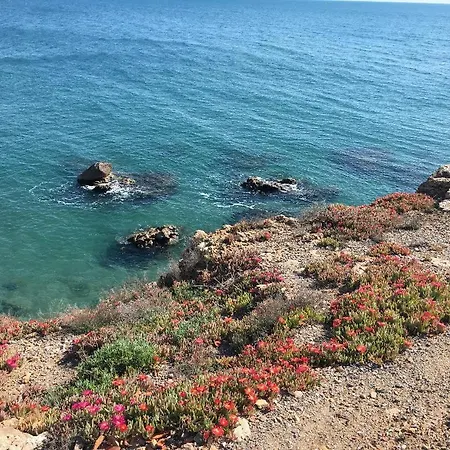 La Pura Vida * Sète